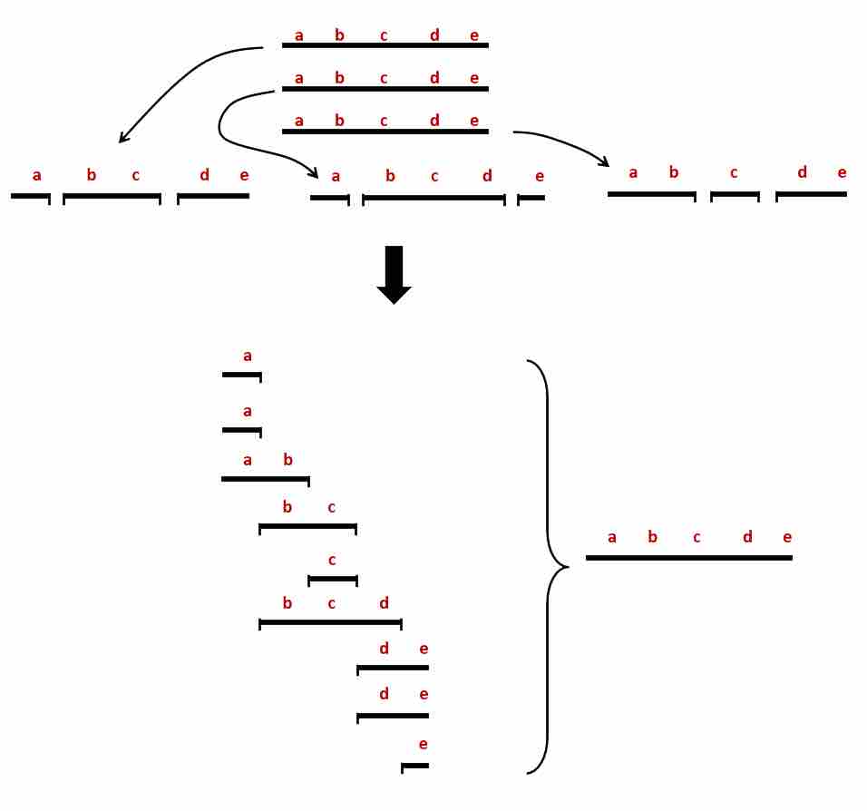 Whole genome shotgun sequencing.